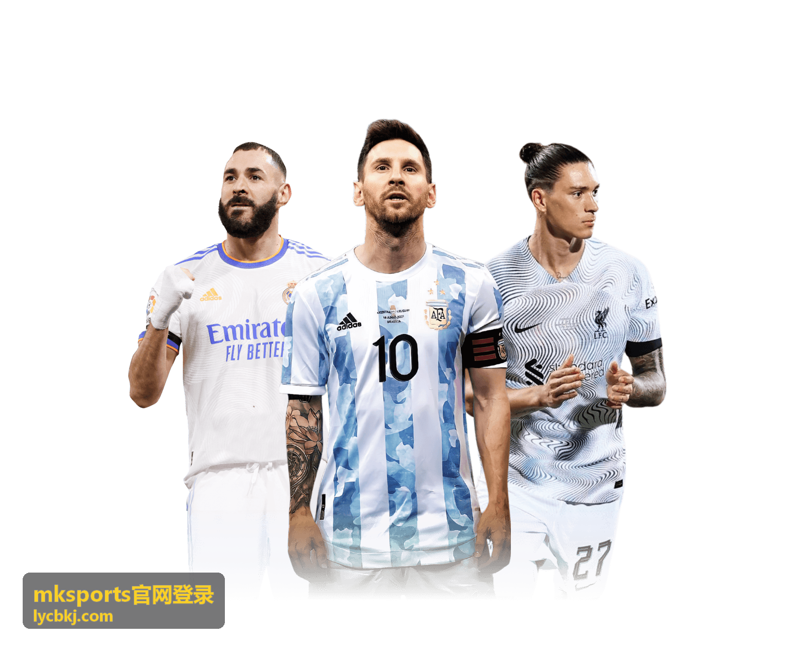 mksports官网登录输入账号与密码的操作界面