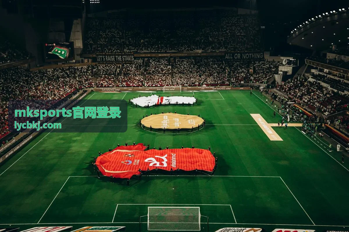 mksports官网登录页面打不开问题排查配图