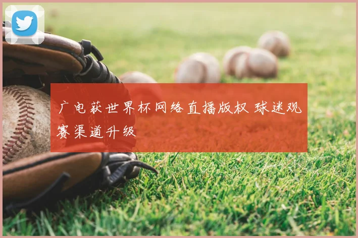 广电获世界杯网络直播版权 球迷观赛渠道升级